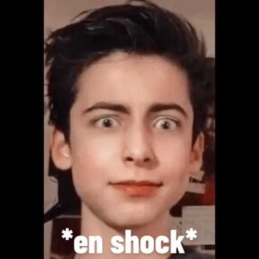 Aidan Gallagher, Writer, Actor, Activist, Influencer PNG