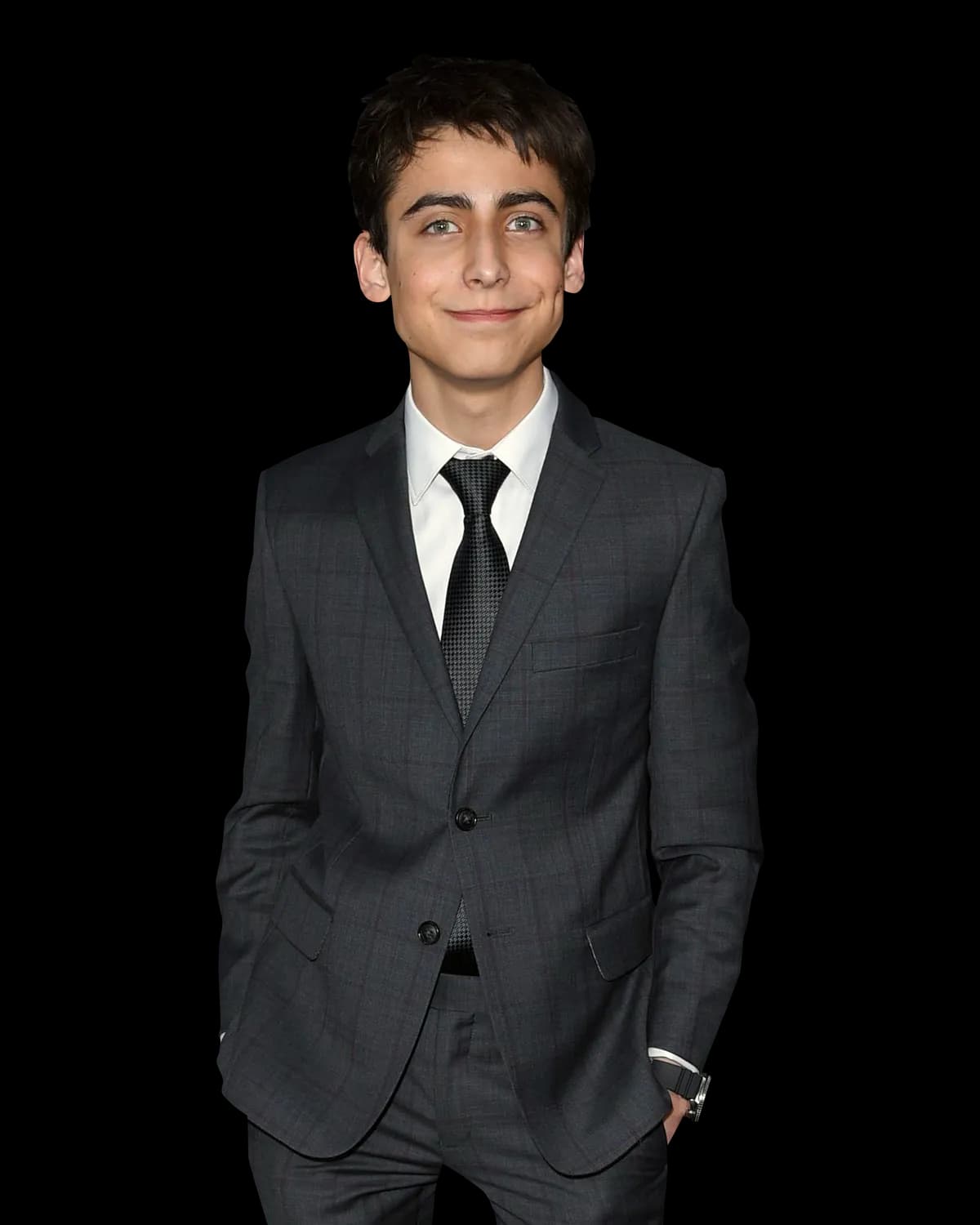 Aidan Gallagher, Environmentalist, Actor, Activist, Musician PNG