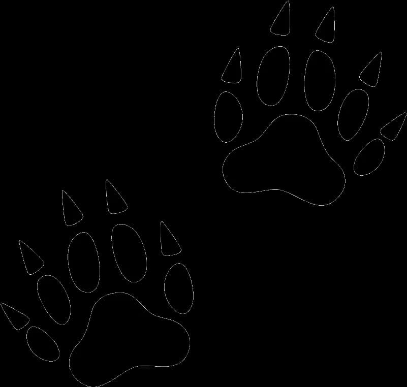 Animal-Footprint-PNG-Transparent-Image