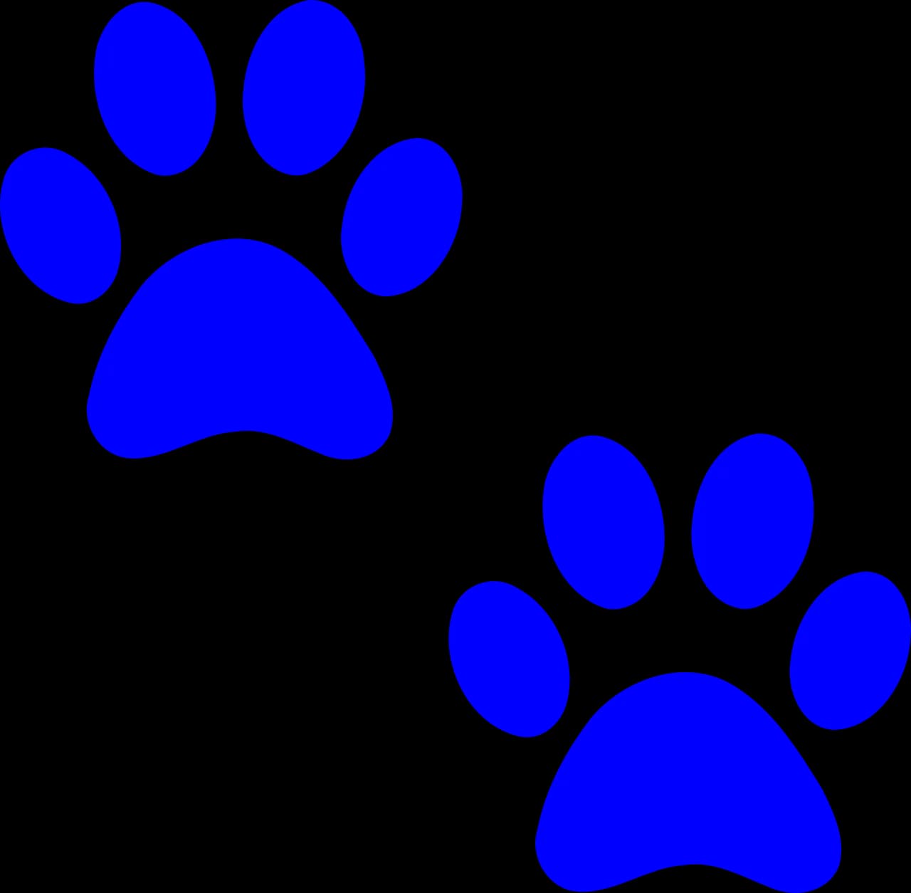Animal Footprints, Paw Prints, Footprint Patterns, Animal Trails, Nature PNG