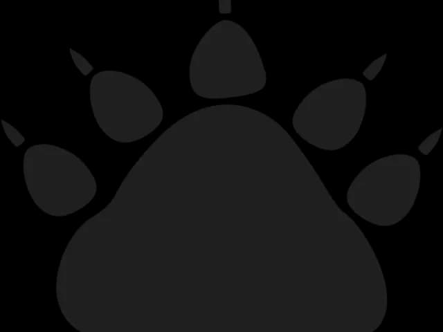 Animal-Footprints-PNG-Clipart