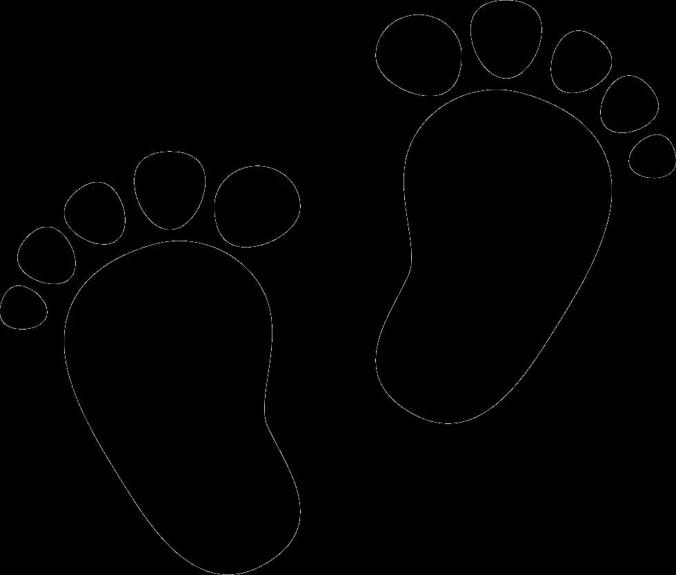 Animal Footprints, Wildlife Tracks, Animal Trails, Eco Prints, Wildlife Evidence PNG