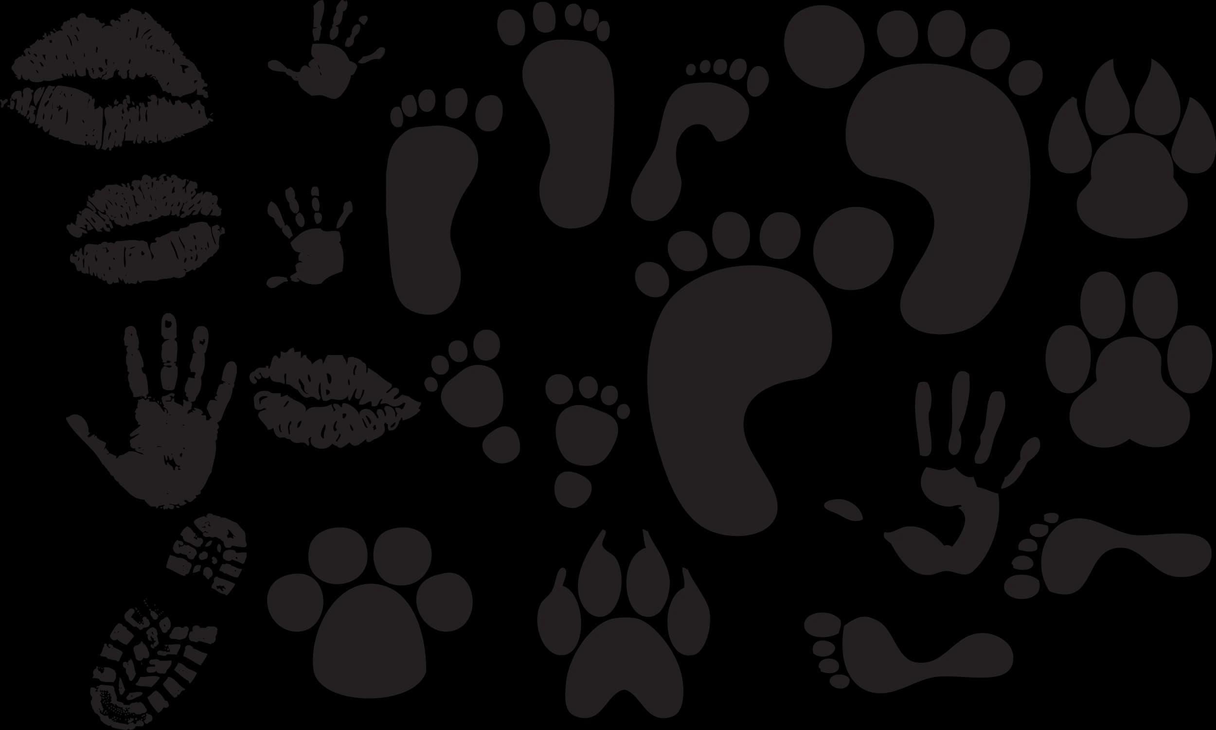 Animal-Footprints-PNG-Isolated-Photo