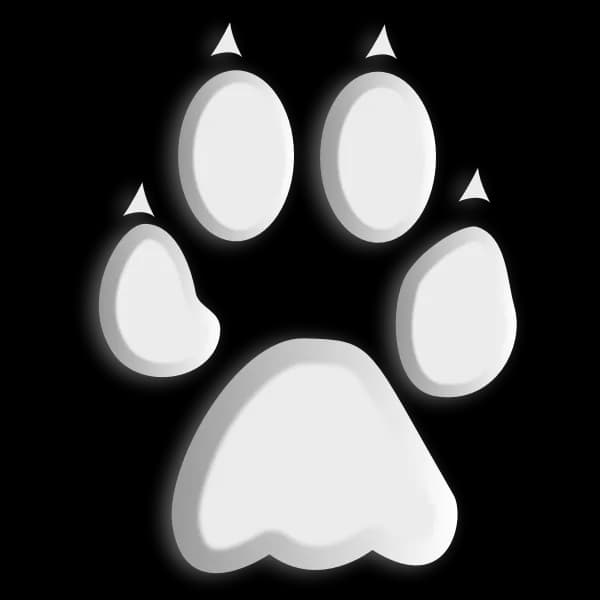 Animal-Footprints-PNG-Isolated-Photos
