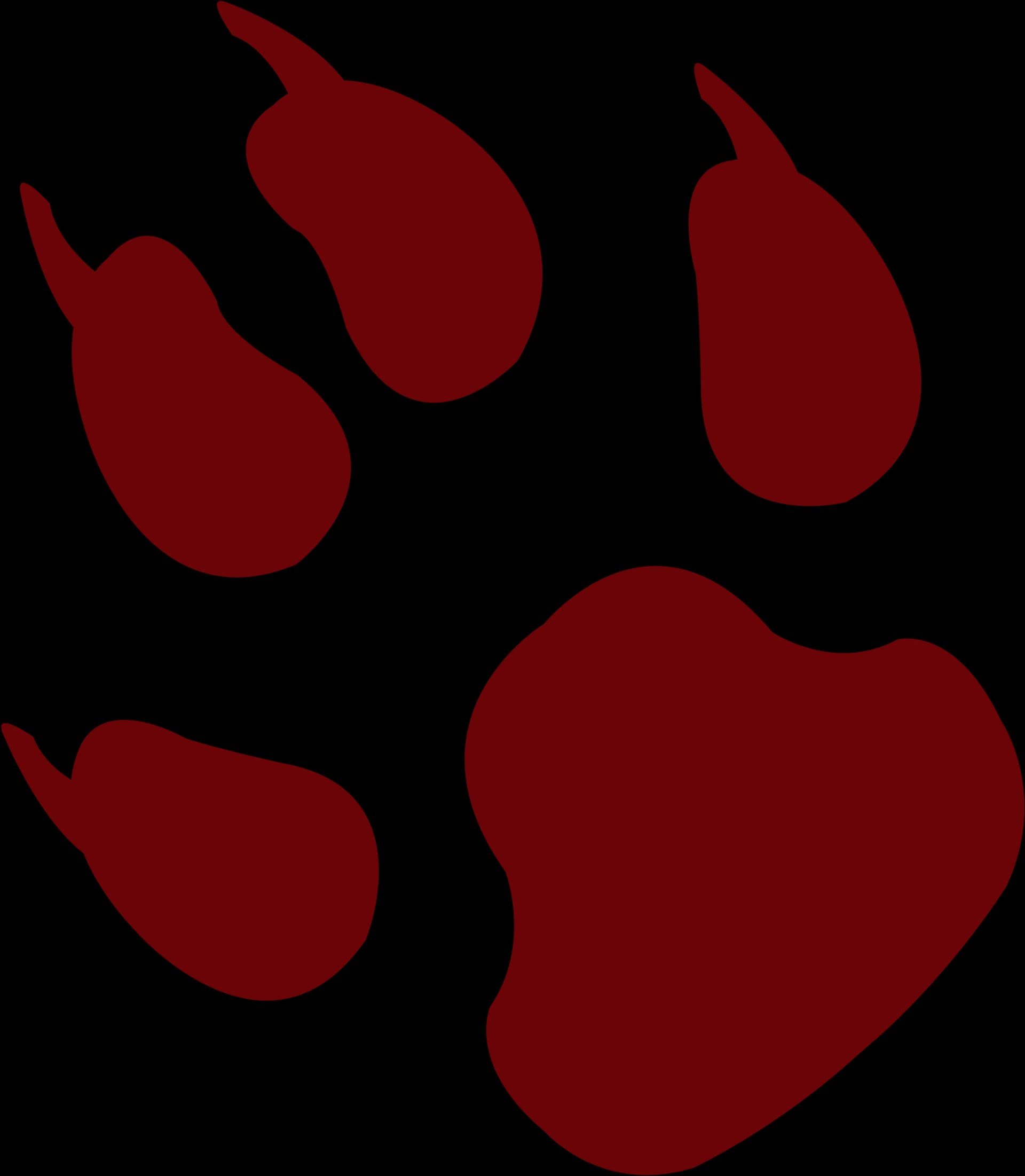 Animal Footprints, Paw Prints, Nature, Tracks, Adventure PNG