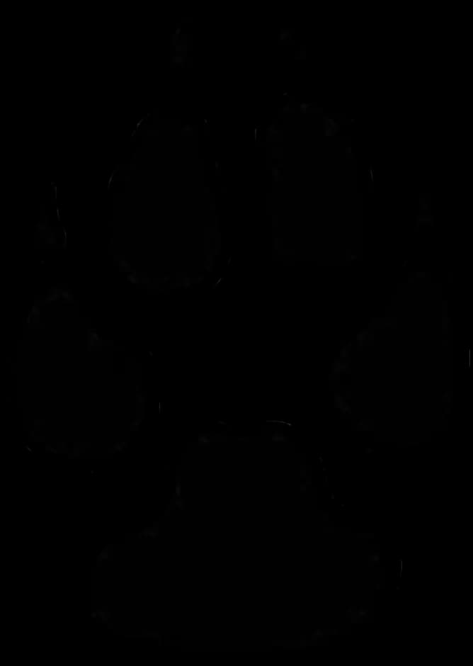 Animal-Footprints-PNG-Pic