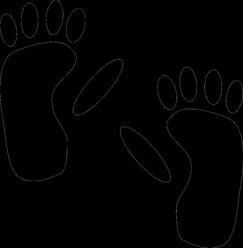 Animal-Footprints-PNG