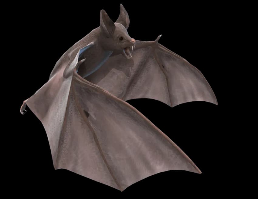 Bat-Flying-PNG