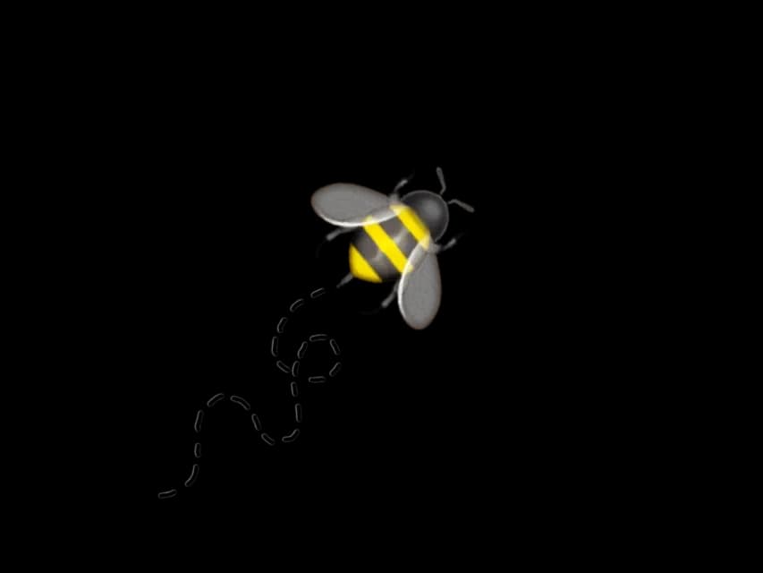 Bee-Trail-Path-PNG
