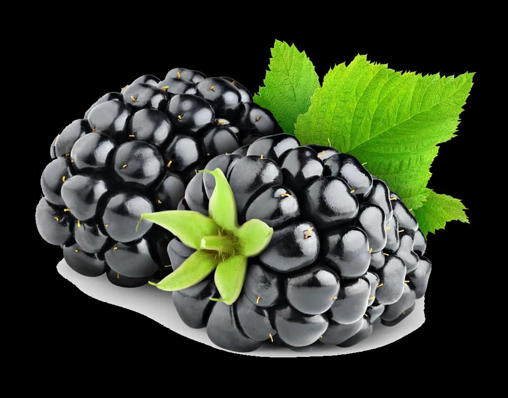 Blackberry-Fruit-PNG-HD