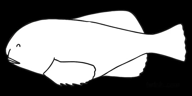 Blob-Fish-PNG-File