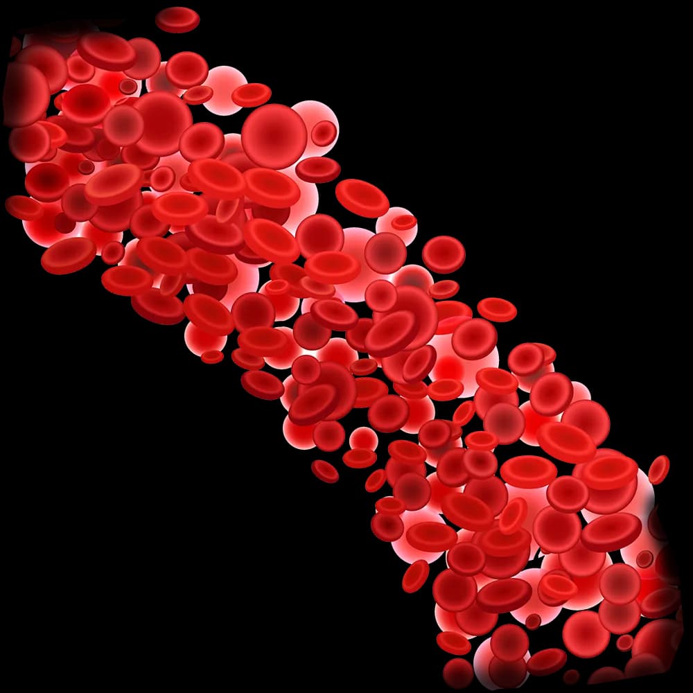 Blood-Donation-Download-PNG-Image