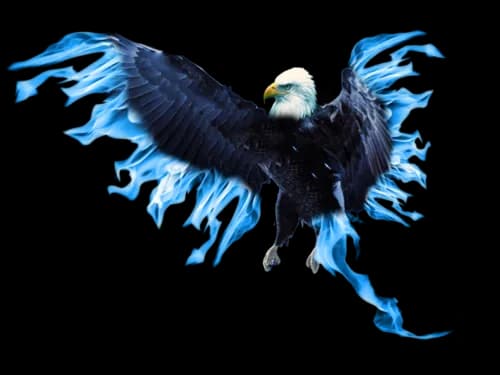 Blue Phoenix Transparent PNG
