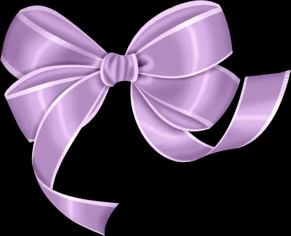 Bow-PNG-Photos