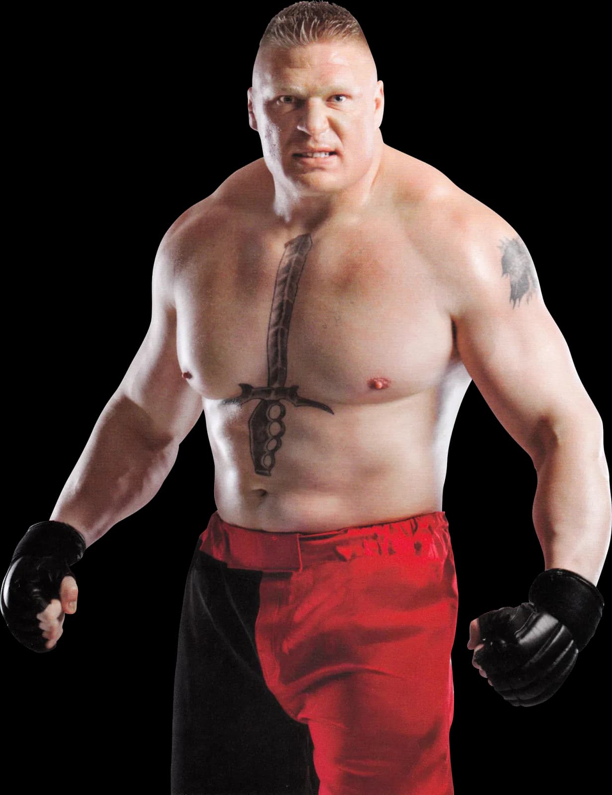 Brock Lesnar PNG HD