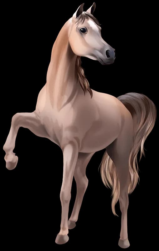 Brown-Arabian-Horse-PNG-Transparent-Image