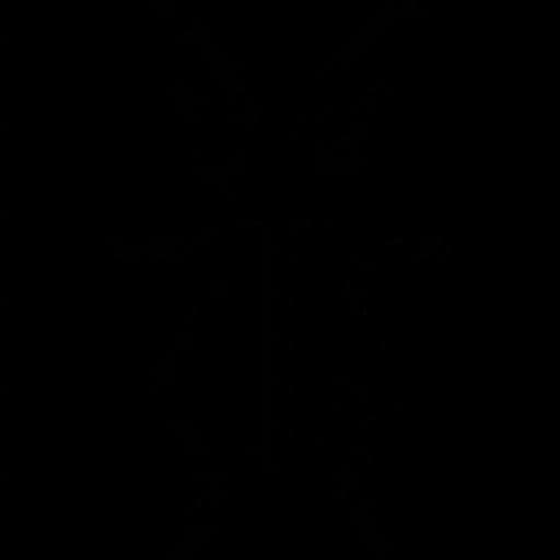 Bush Crickets, Habitat, Nature, Entomology, Chirping PNG