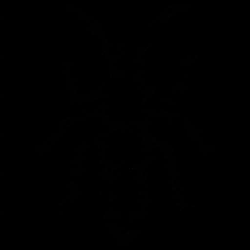 Bush Crickets, Insects, Nature, Entomology, Chirping PNG