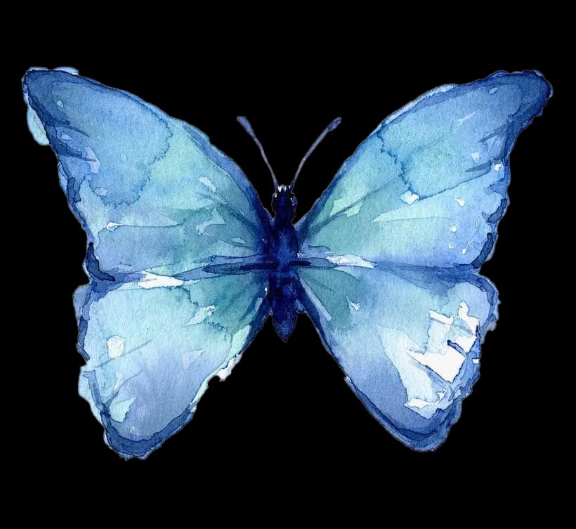 Butterfly-Watercolor-Art-PNG-Photos