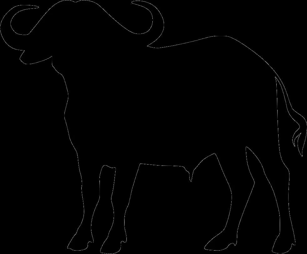 Cape Buffalo, Horns, African Wildlife, Conservation, Herd Animal PNG