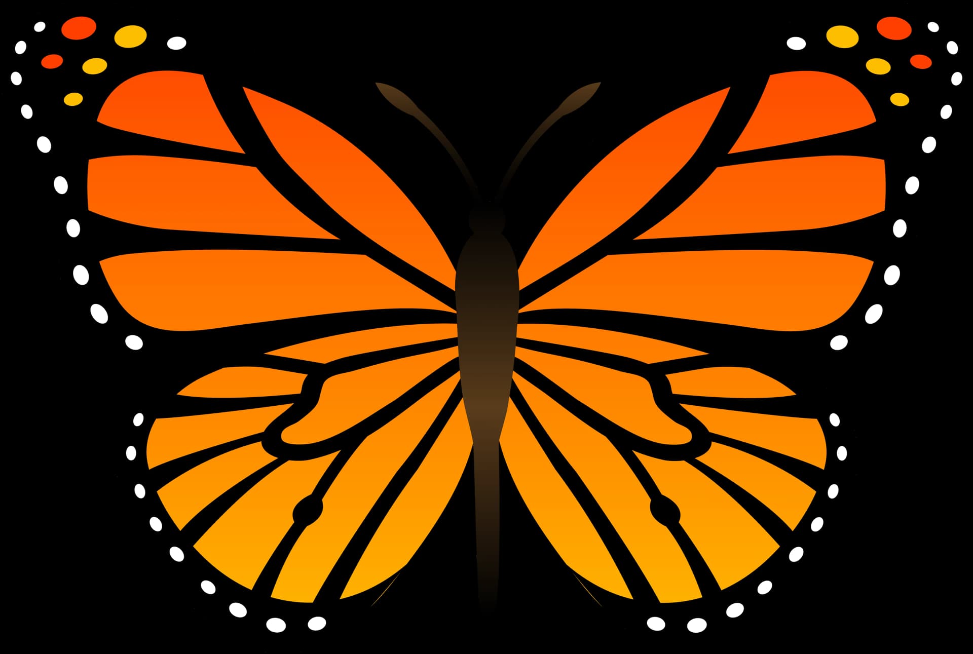 Cartoon Butterfly PNG