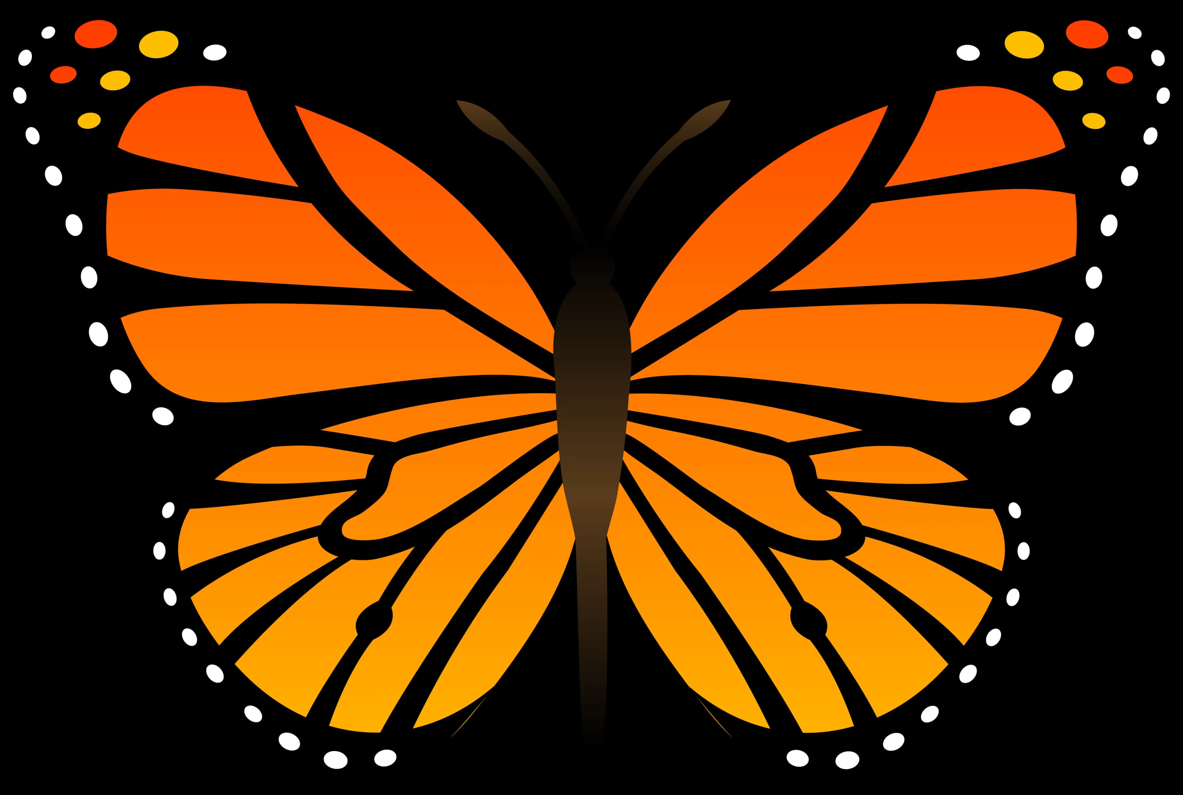 Cartoon-Butterfly-PNG
