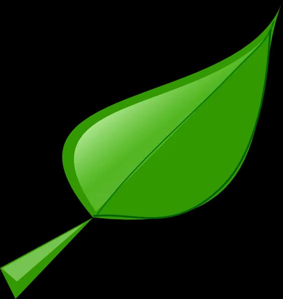 Cartoon Leaves, Greenery, Seasonal, Decorative, Nature PNG