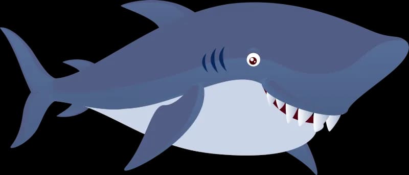 Cartoon-Shark-PNG-HD