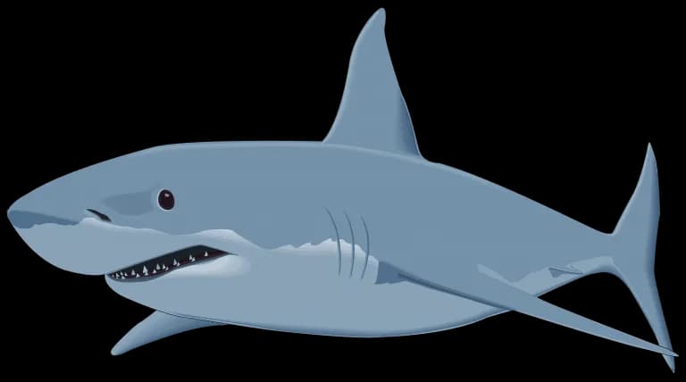 Cartoon-Shark-PNG-Photo