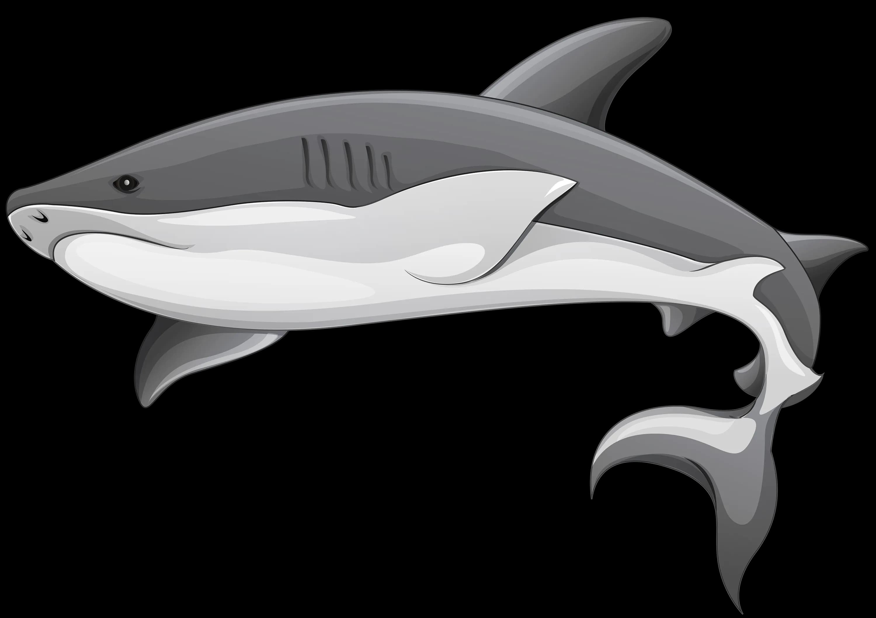 Cartoon-Shark-PNG-Photos