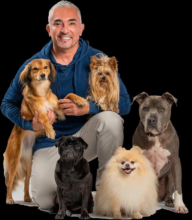 Cesar-Millan-PNG-File