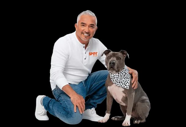 Cesar-Millan-PNG-Photo