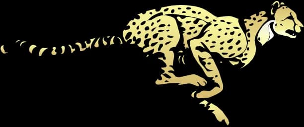 Cheetah-PNG-Transparent-Image