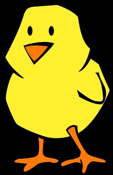Chick Cartoon, Playful, Whimsical, Fun, Colorful PNG