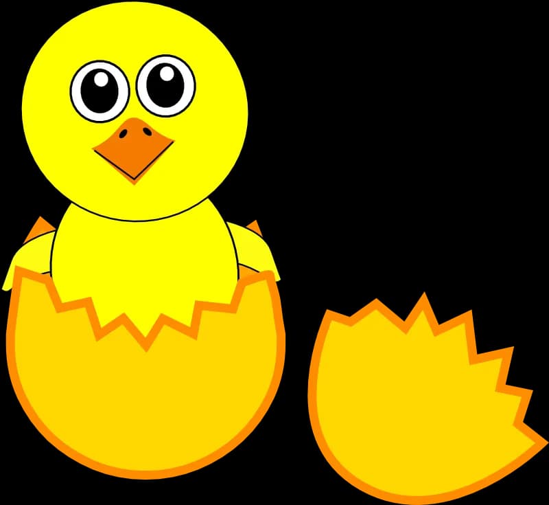 Chick-Cartoon-PNG-Photos