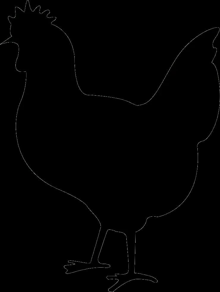 Chicken-Bird-PNG-Free-Download