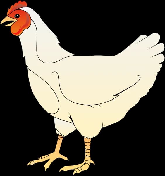 Chicken-Cartoon-PNG-Free-Download