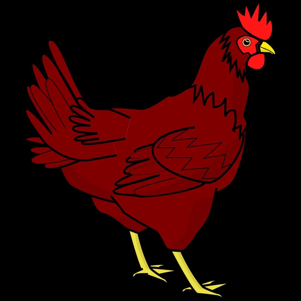 Chicken-Cartoon-PNG-HD-Isolated