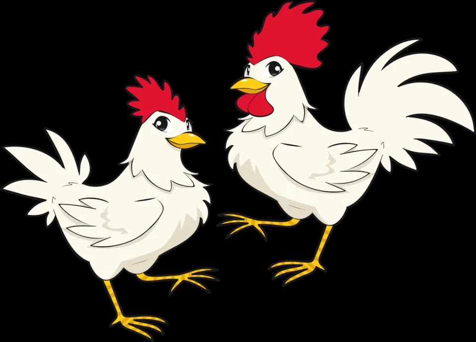 Chicken-Cartoon-PNG-HD