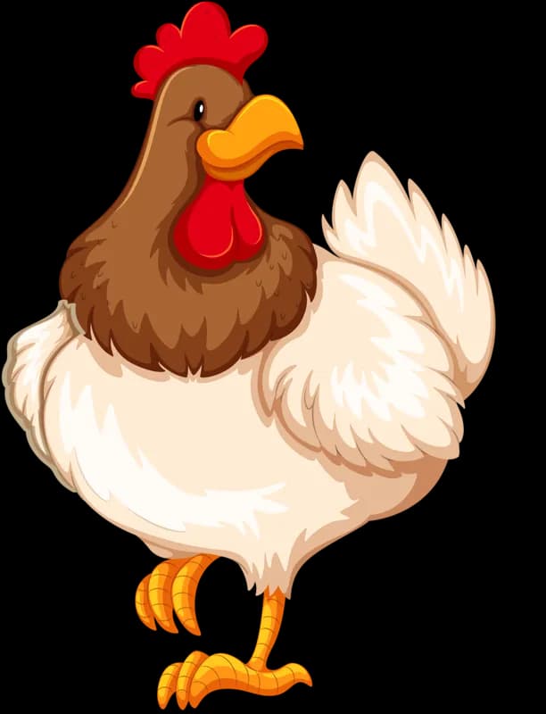 Chicken-Cartoon-PNG-Photos