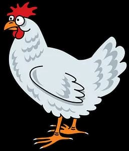 Chicken Cartoon, Fun, Farm, Animation, Character PNG