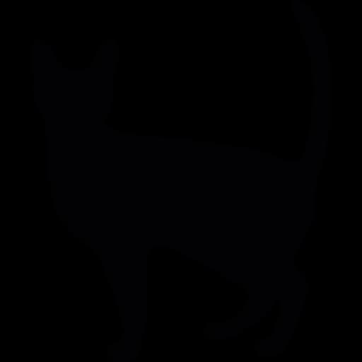 Clipart Cat Vector, Pet Vector Image, Feline Illustration, Cute Cat Art, Cat Character Vector PNG