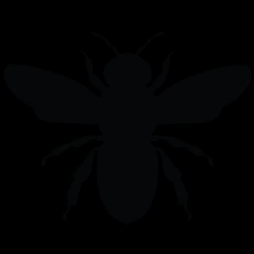 Clipart-Honey-Bee-Vector-PNG-HD