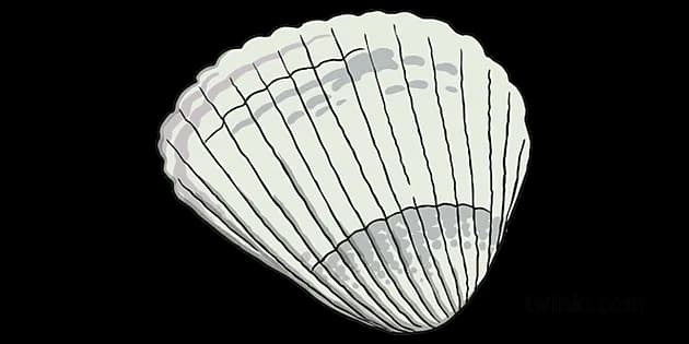 Cockle-PNG-File