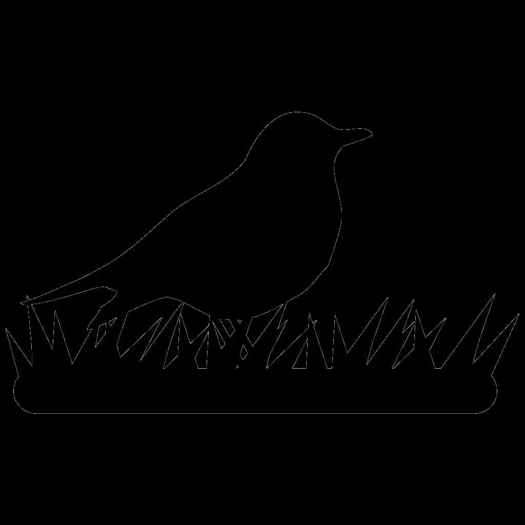 Collared-Bush-Robin-PNG-File