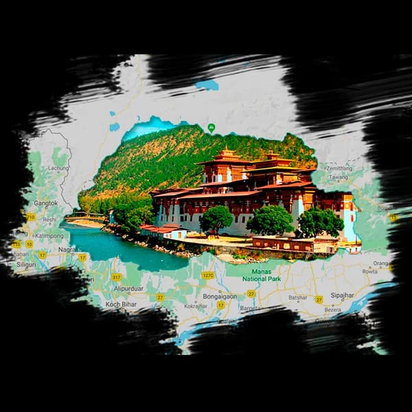 Collared-Bush-Robin-PNG-Photo