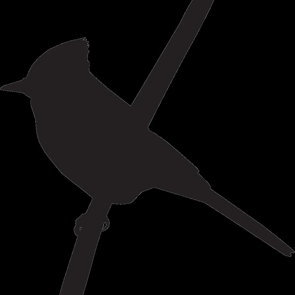 Collared Bush Robin, Birdwatching, Endemic, Avian, Nature PNG