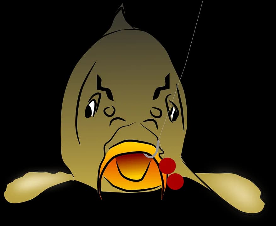 Common-Carp-PNG-Isolated-Photo