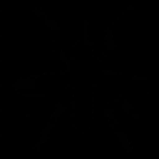 Crane-Fly-PNG-Isolated-Image