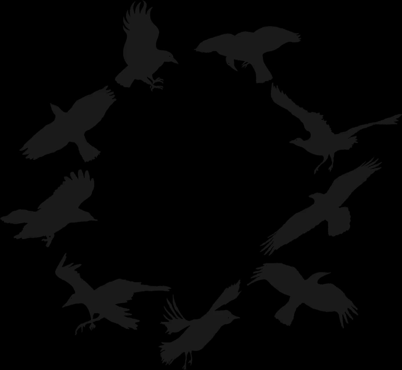 Crows-PNG-Image